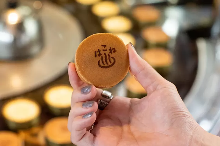 แนะนำเส้นทางเที่ยวรอบฮาโกเน่ด้วยตั๋ว Hakone Freepass