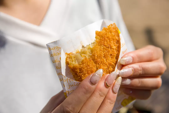 徒步遊覽山口縣岩國的典範路線!介紹9個推薦景點!