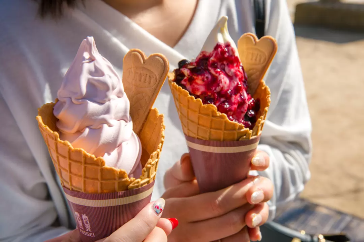 徒步遊覽山口縣岩國的典範路線!介紹9個推薦景點!