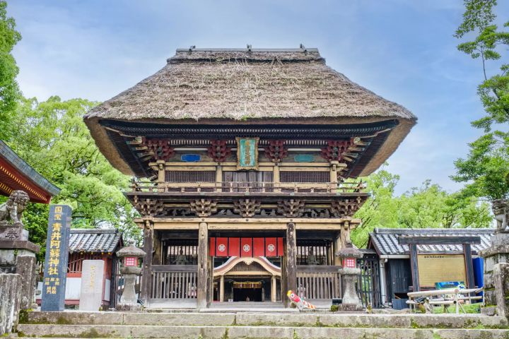 阿蘇エリアとは？おすすめスポットやホテルを紹介！