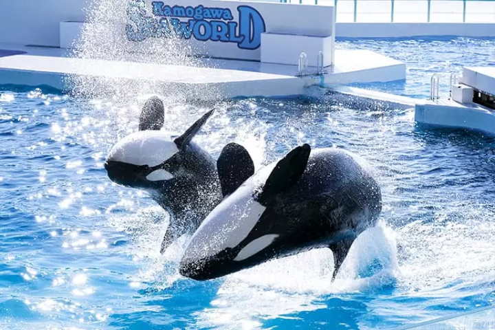 【치바】 나리타 공항 출발! 관광 명소와 렌터카 추천 플랜