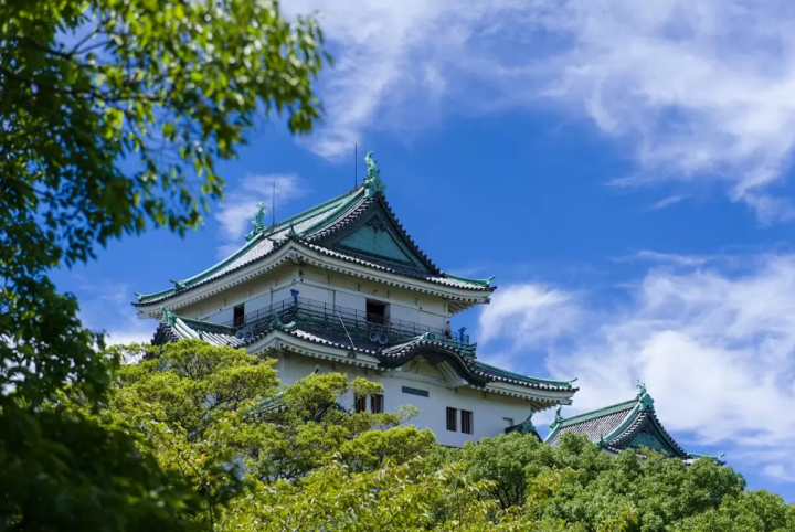 【和歌山】從大人到小孩都可以享受的和歌山之旅！租車遊覽的熱門觀光景點