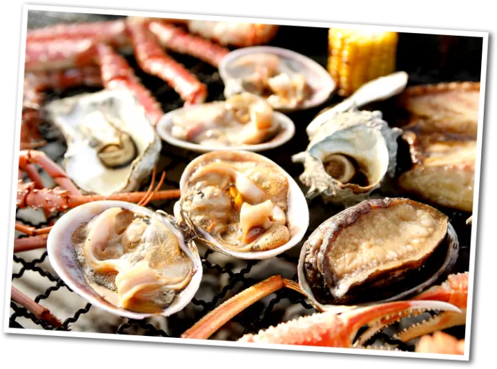 體驗、漫步！知多半島推薦示範路線