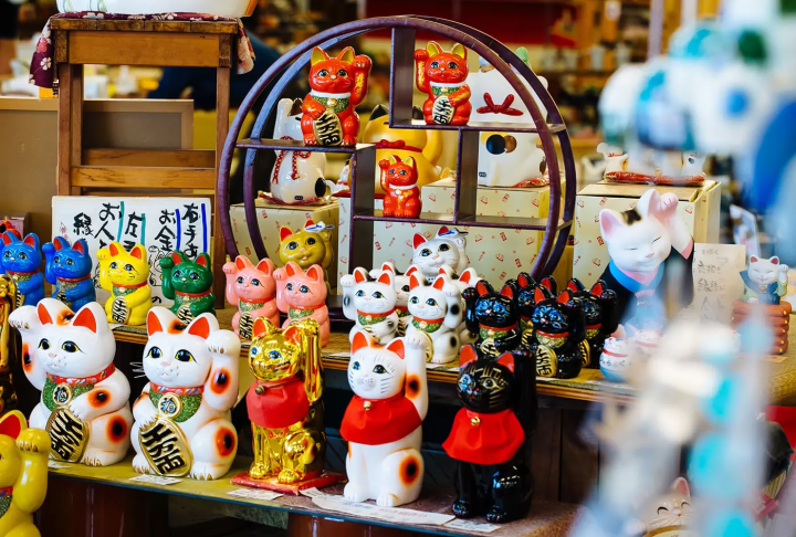 體驗、漫步！知多半島推薦示範路線