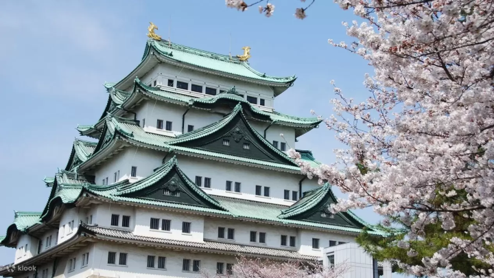 7 Cherry Blossom Tours to Less Crowded Spots