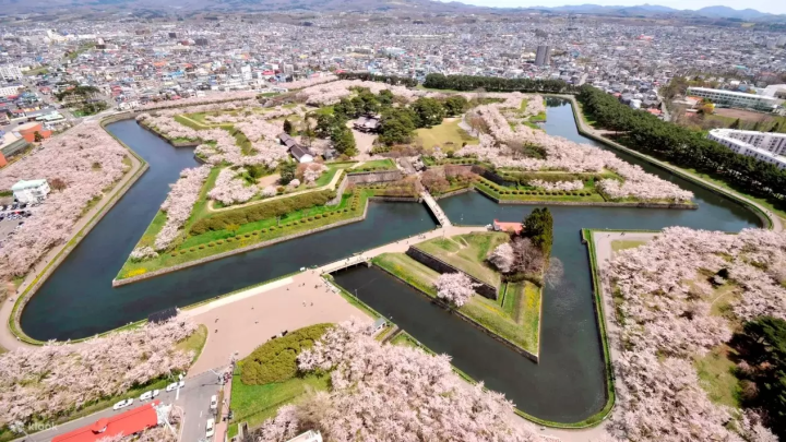7 Cherry Blossom Tours to Less Crowded Spots