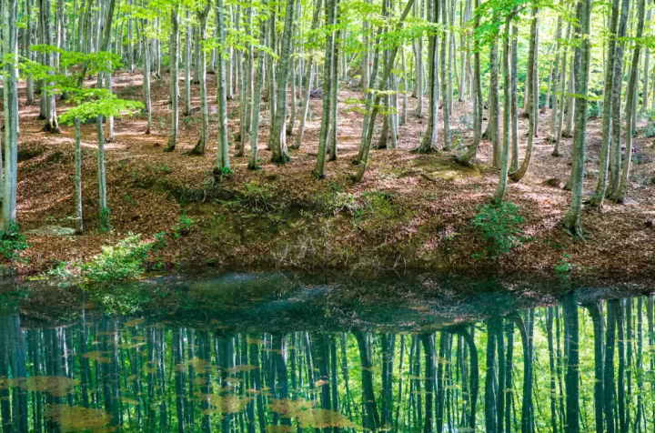 【니가타】 일상에서 떨어져 대자연을 만끽하는 여행! 렌터카로 돌아다니는 힐링 관광 명소