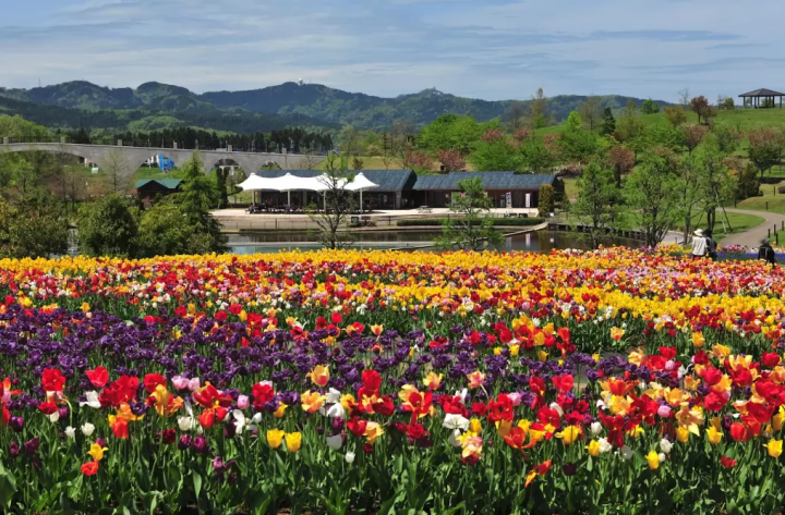 【니가타】 일상에서 떨어져 대자연을 만끽하는 여행! 렌터카로 돌아다니는 힐링 관광 명소