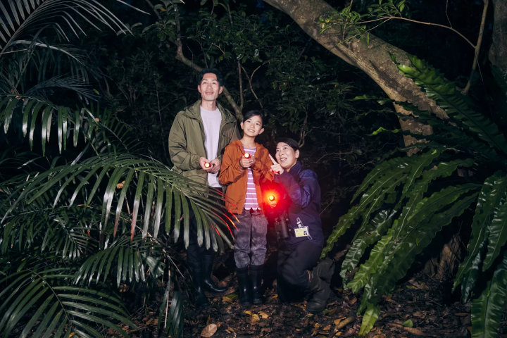 虹夕諾雅 沖繩生態之旅,探索世界自然遺產「奇蹟之森」!