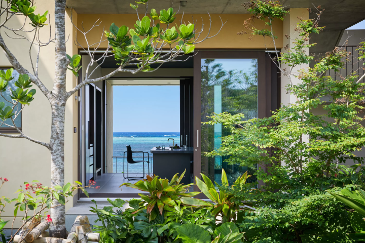 虹夕諾雅 沖繩生態之旅,探索世界自然遺產「奇蹟之森」!