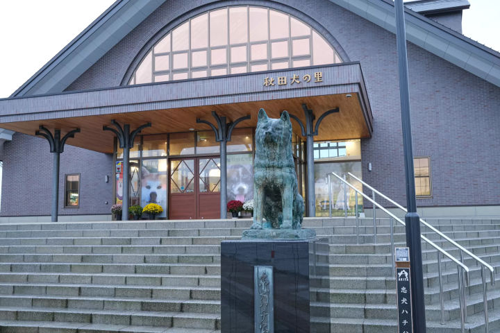 7 Cherry Blossom Tours to Less Crowded Spots