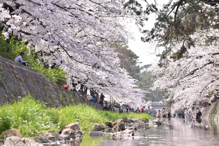 ▲Shukugawa Riverbed Green Space 
