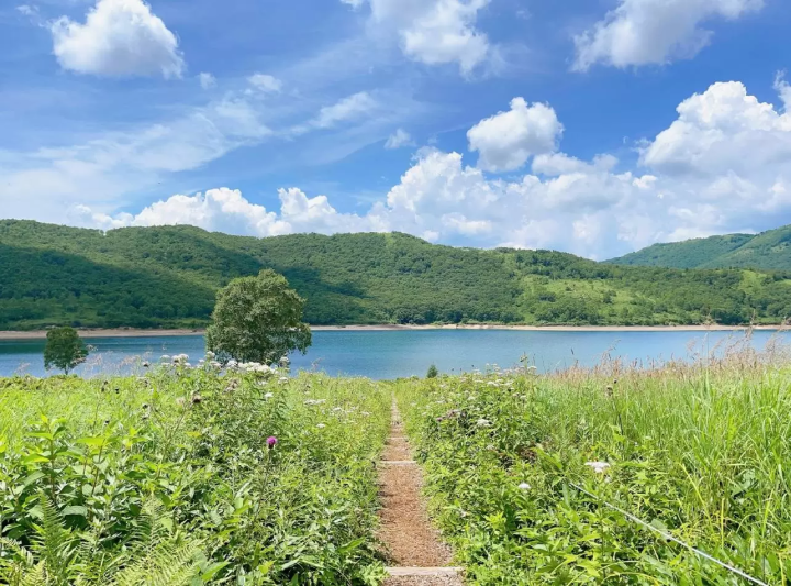 【군마】 구사쓰나 시만, 아름다운 경치와 온천의 매력을 만끽! 군마 관광의 추천