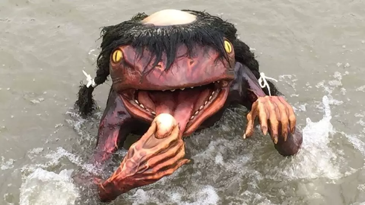 A gajiro coming out of the pond at Tsujikawayama Park