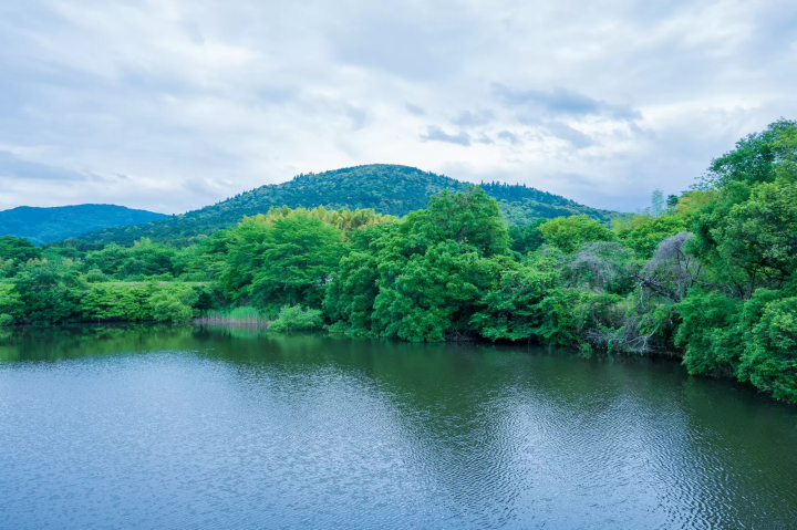 【2024最新】世界遺産の街・奈良へ行こう!京都、大阪からの行き方ガイド