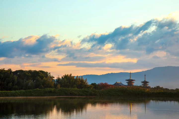 【2024最新】世界遺産の街・奈良へ行こう!京都、大阪からの行き方ガイド