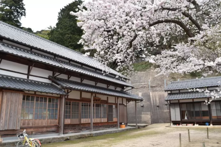 【2024最新】京都府「伊根町」完全导览！舟屋住宿、交通方式、景点、美食一次介绍