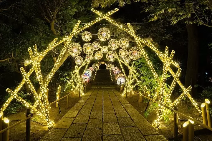 Cherry Blossom Light-up in Tokyo! Yomiuri Land's Jewellumination