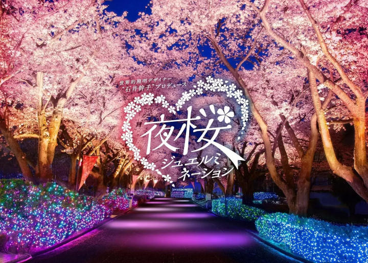 Cherry Blossom Light-up in Tokyo! Yomiuri Land's Jewellumination