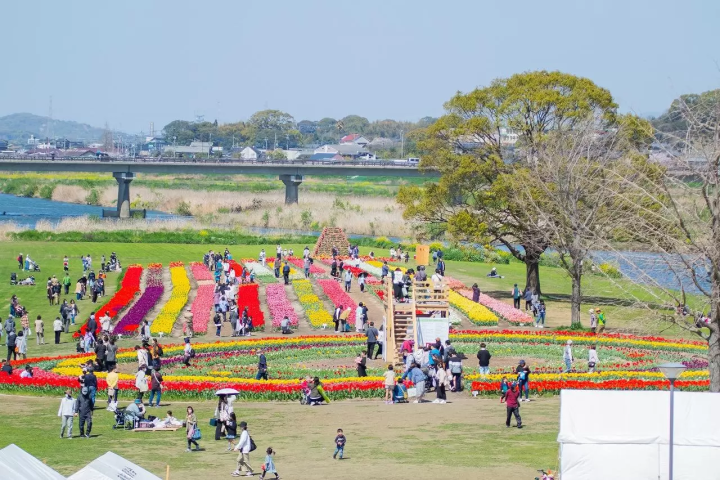 ไปจากสนามบินฟุกุโอกะ! “สนุกไปกับฤดูใบไม้ผลิ” ทริป 1 คืน 2 วัน