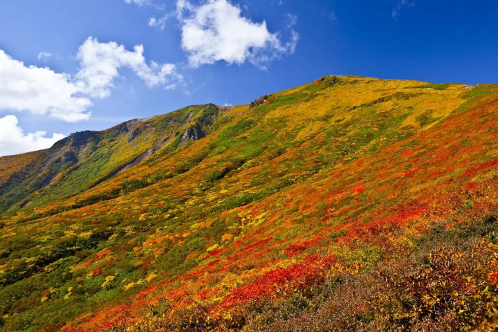 Fall Foliage in Northern Japan: Top 10 Spots in Tohoku