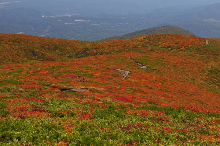 Fall Foliage in Northern Japan: Top 10 Spots in Tohoku