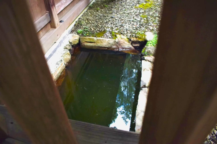 Tour of Chichibu's three major shrines: Mitsumine Shrine - Chichibu Shrine - Hodosan Shrine