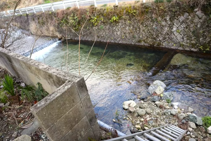 サウナを満喫！山口の山あいにある自然豊かなゲストハウス「紅花舎」