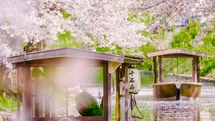 Two Day Trips - A spectacular Spring Time Itinerary For the Kyoto Area 