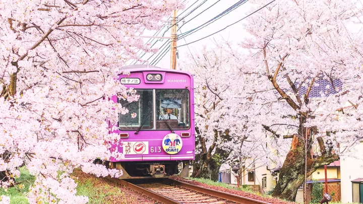 Two Day Trips - A spectacular Spring Time Itinerary For the Kyoto Area 