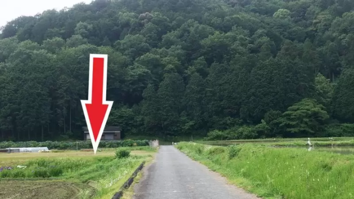 [เมืองฟุกุซากิ] ฉันไปที่หมู่บ้านทาคาโอกะ ``เส้นทางไฮเดรนเยีย'' เพลิดเพลินกับดอกไฮเดรนเยียบนภูเขาที่หายาก