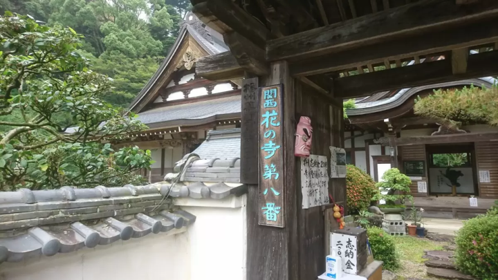 花の寺「應聖寺」の沙羅の花。諸行無常、季節の移ろいを感じて│福崎町