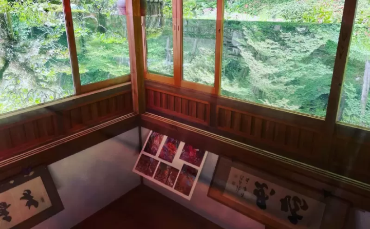 花の寺「應聖寺」の沙羅の花。諸行無常、季節の移ろいを感じて│福崎町