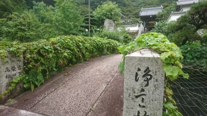 花の寺「應聖寺」の沙羅の花。諸行無常、季節の移ろいを感じて│福崎町