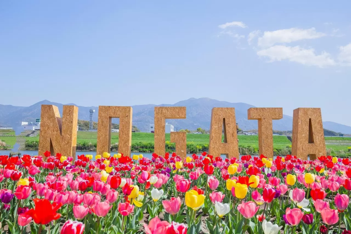 Depart from Fukuoka Airport! A two-day, one-night trip to "experience the city" - Experience making a sacoche using kimono fabric!