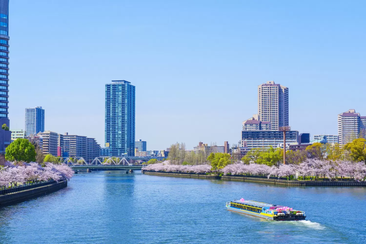 12 Great Kansai Cherry Blossom Spots: Kyoto, Osaka, Nara, and More