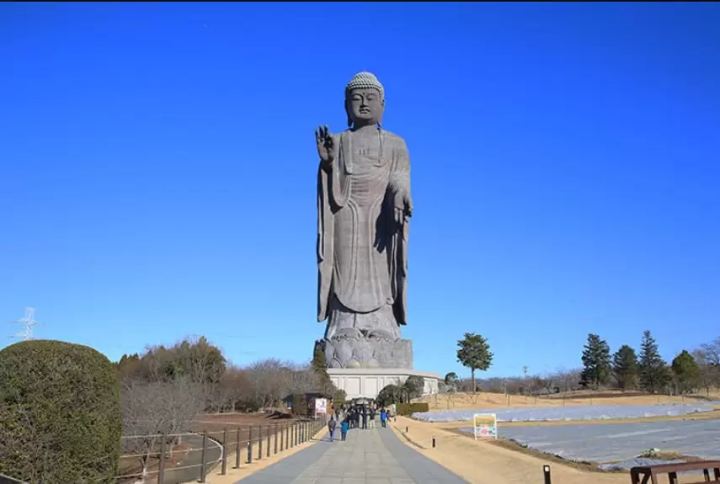 【茨城】欣賞常陸海濱公園的美景！租車遊覽的壯麗景點