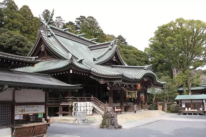 【茨城】欣賞常陸海濱公園的美景！租車遊覽的壯麗景點