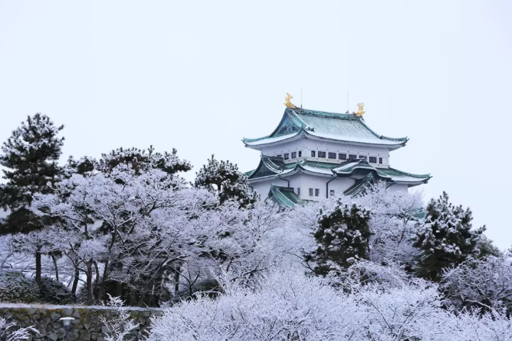 【愛知】連結過去與未來的旅程！名古屋城、磁浮鐵道博物館等愛知縣推薦景點