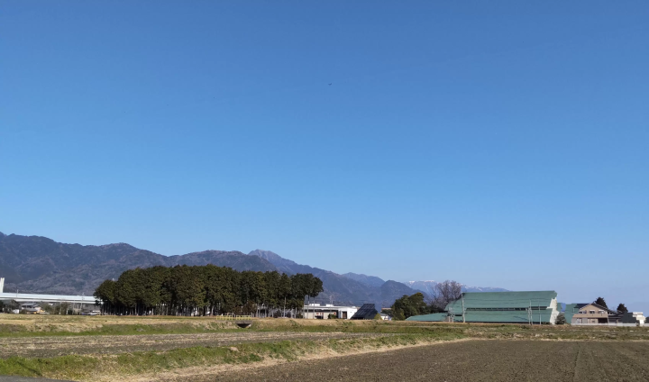 마치다 나오코 그림책 원화전 paramitamuseum에서 개최중 2024년 3월 31일(일)까지
