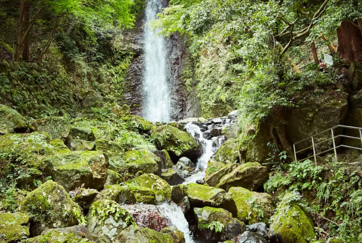 【기후】오래 좋은 일본의 풍경 : 기후성과 게로 온천에의 관광 드라이브