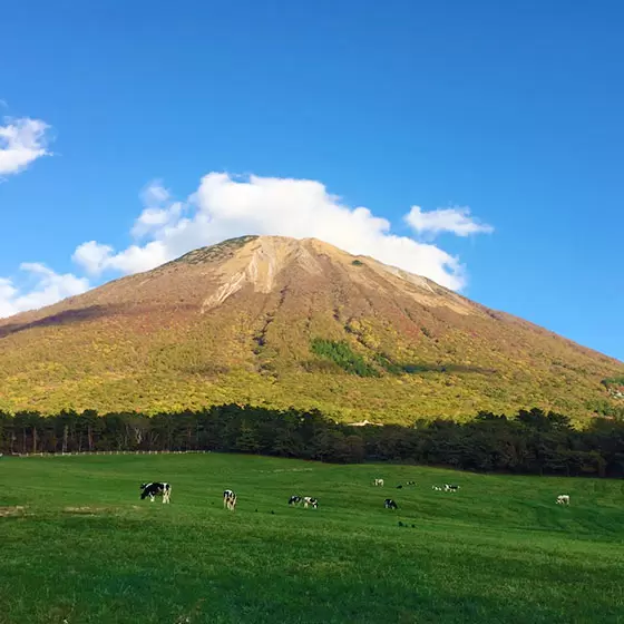 [Yonago City, Tottori Prefecture] Let's go to the National Park Daisen Climb and Japan's 100 Famous Mountains!