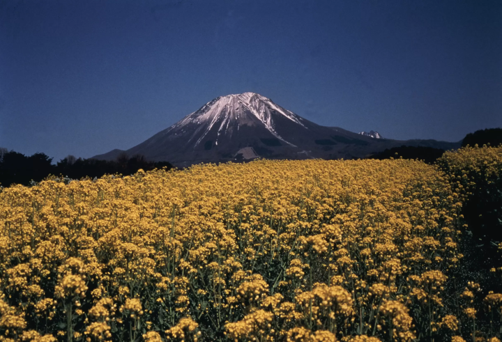 [Yonago City, Tottori Prefecture] Let's go to the National Park Daisen Climb and Japan's 100 Famous Mountains!