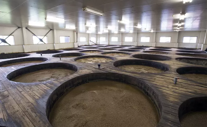 只有在这里才能体验到的体验!可以通过五种感官来了解酱油的“金笛酱油主题公园”