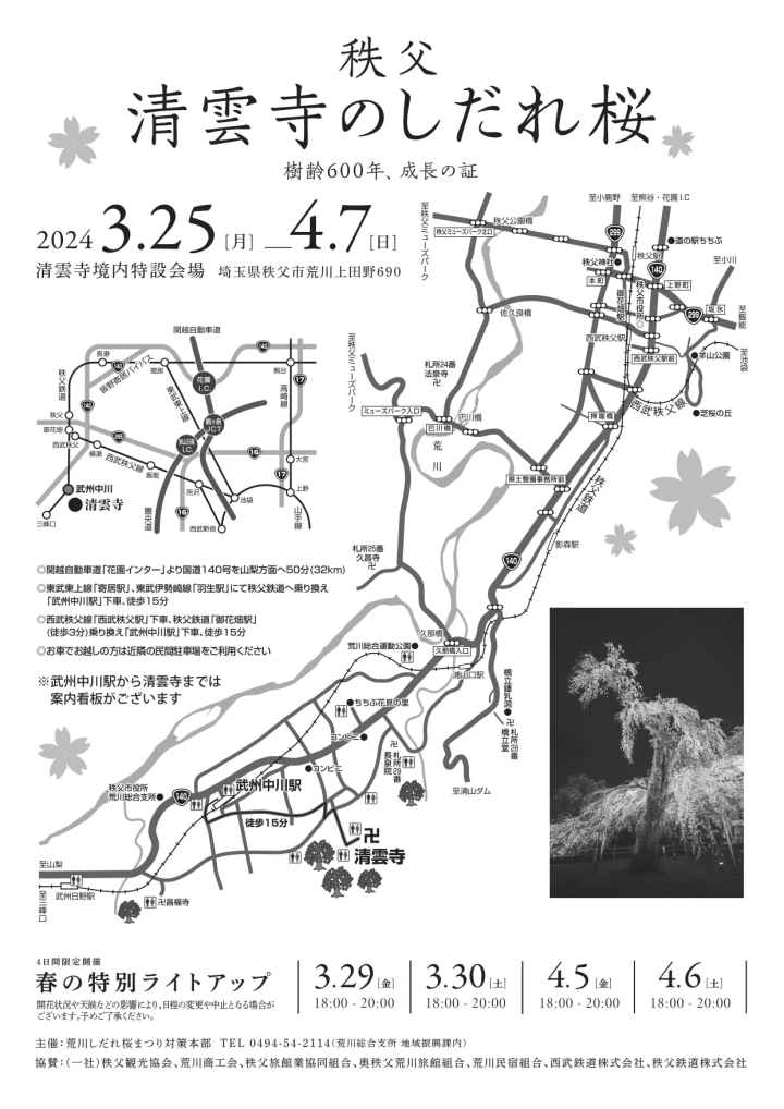 秩父 清雲寺のしだれ桜 2024年は3/25(月)~4/7(日)開催