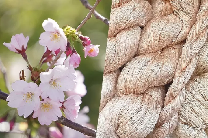 Experience Japanese tradition in Kyoto 