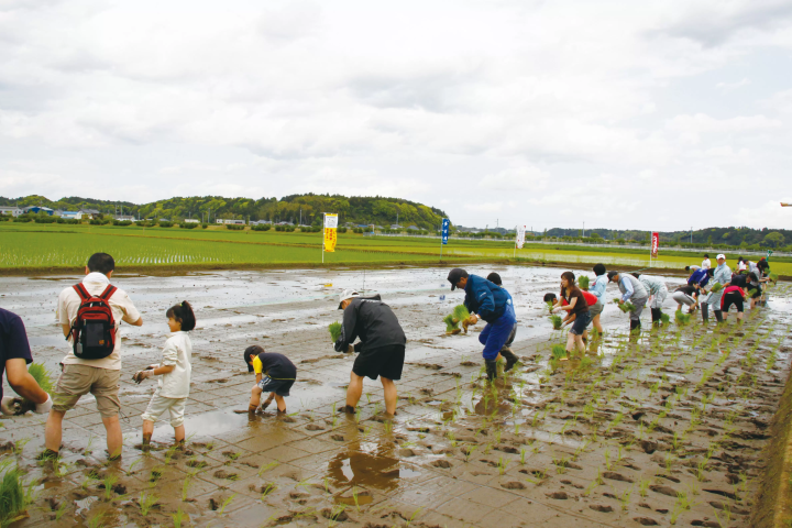 [千葉縣] 多古町、觀光景點、景點、土特產等完整指南