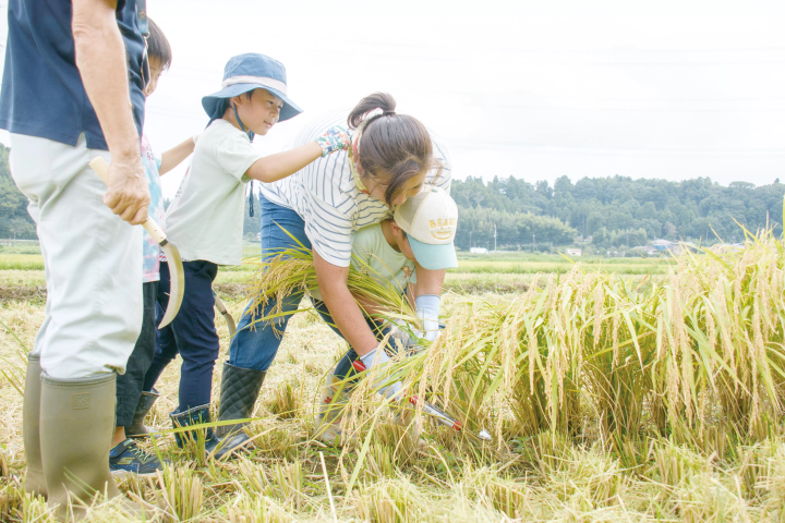 [千葉縣] 多古町、觀光景點、景點、土特產等完整指南