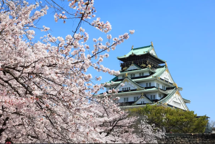 [โอซาก้า] โดทงโบริ ปราสาทโอซาก้า ฯลฯ! ข้อแนะนำสำหรับการเที่ยวชมโอซาก้าอย่างอิสระและไร้กังวลด้วยรถเช่า