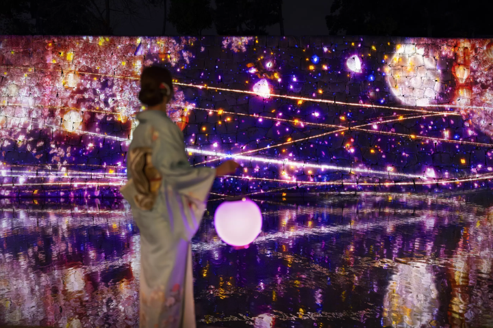 『NAKED桜まつり 2024 世界遺産・二条城』見どころチェック